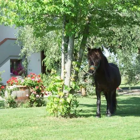 ファームステイ Agriturismo Arena