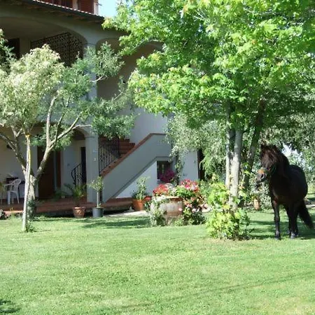 Agriturismo Arena