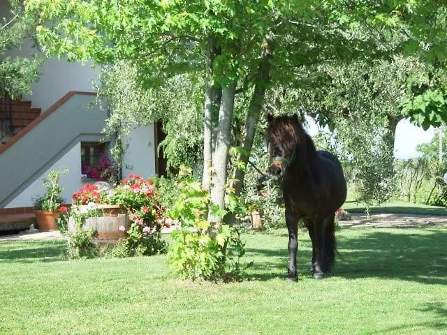 Vakantieboerderij Agriturismo Arena